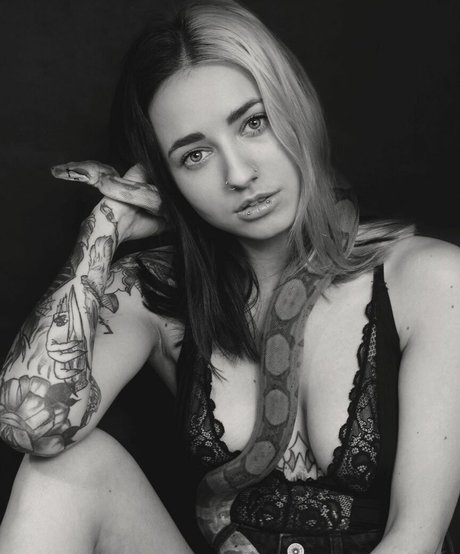 pandatylr star free galleries