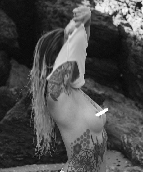 pandatylr star nice archive