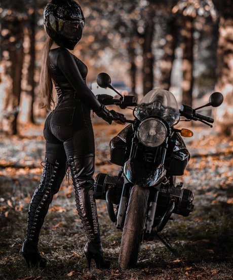 Aufzweireifen nice star gallery