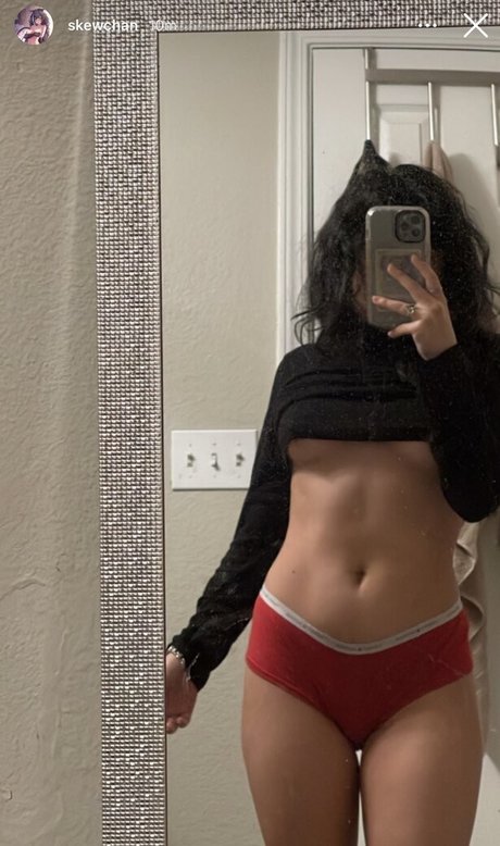 Daisybegin star nice gallery