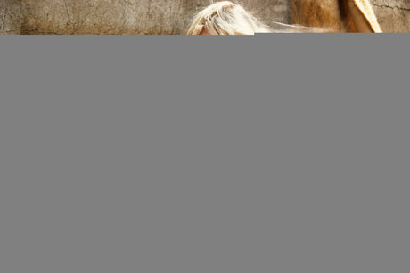 Susie Owens sexy star images