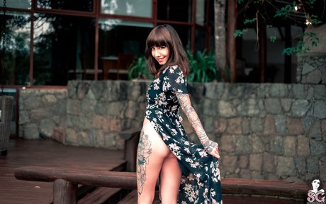 Eveelsg hot pornstar galleries