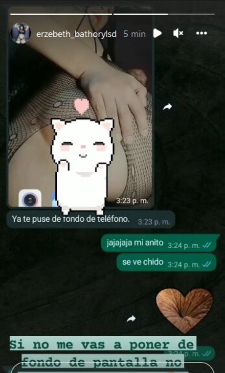 Erzebeth Rathory star archive