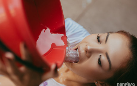 Letye star beautiful photo