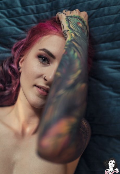 Kelloggsbombs high quality star archive