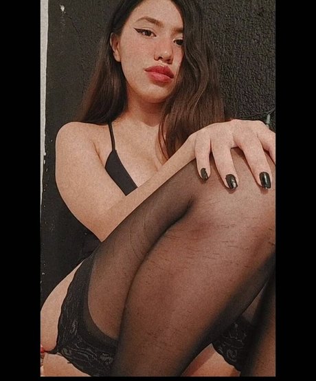 iNoheli star free gallery