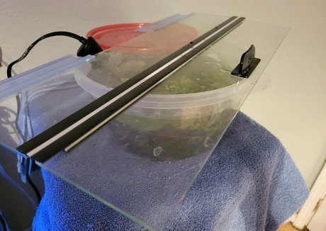 european onlyfans nude photo