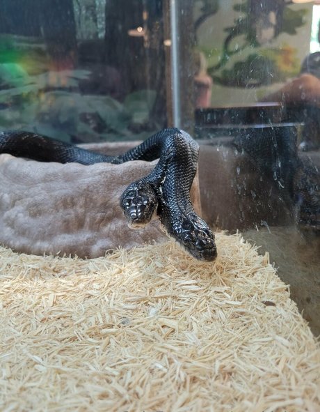 underground onlyfans nice picture