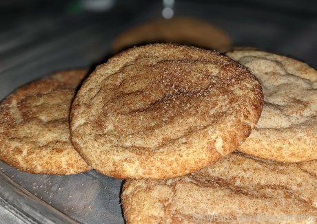 theradicalfox perfect model galleries