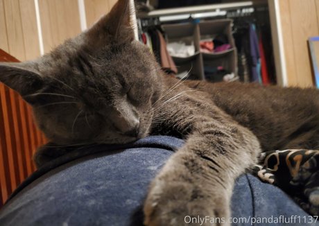 non nude onlyfans sex galleries