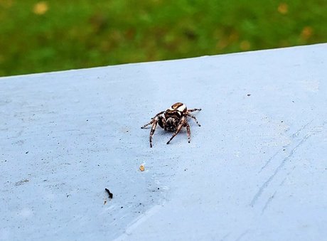 asian solo onlyfans hot galleries