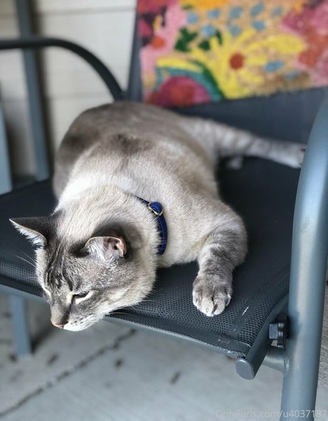 big areolas onlyfans sexy nude pics