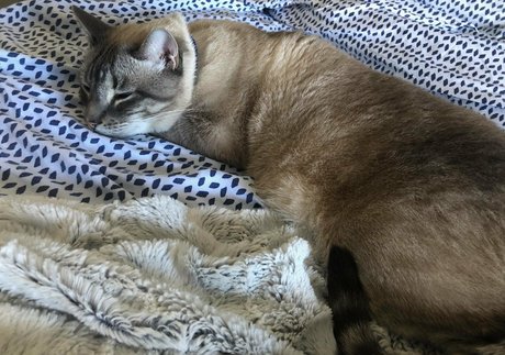 blowbang onlyfans hot sex archive