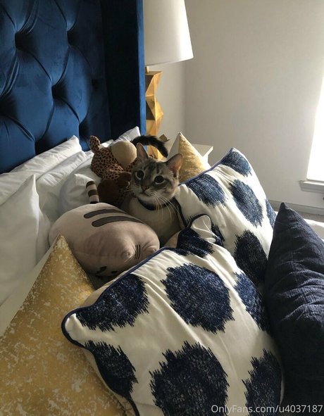 bbw blowjob onlyfans beautiful naked photo