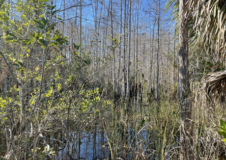 iambigduch erotic actress img