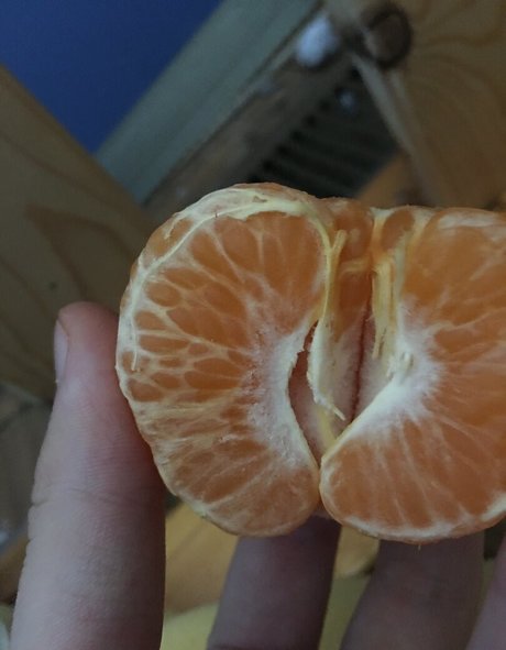 japanese blowjob onlyfans free sexy photos