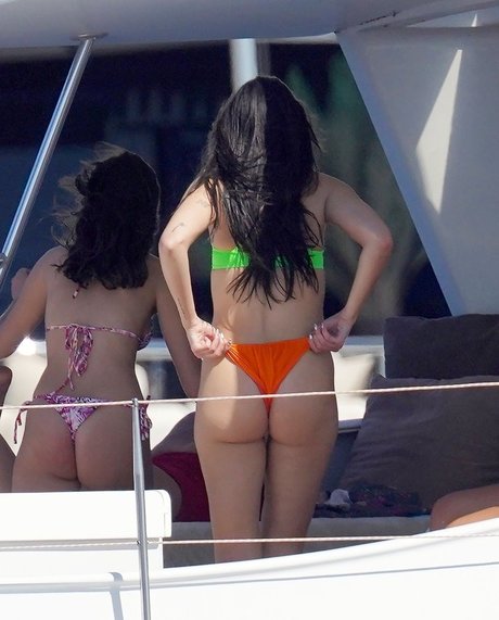 Dua Lipa porn star picture