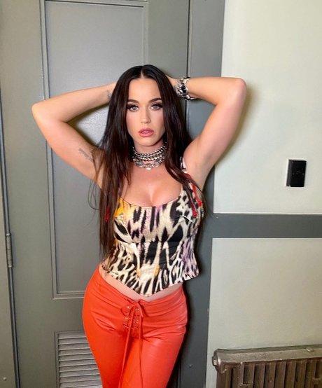Katy Perry adult star photo