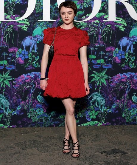 Maisie Williams nudes actress picture