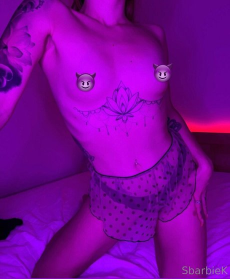 sbarbiek erotic star pics