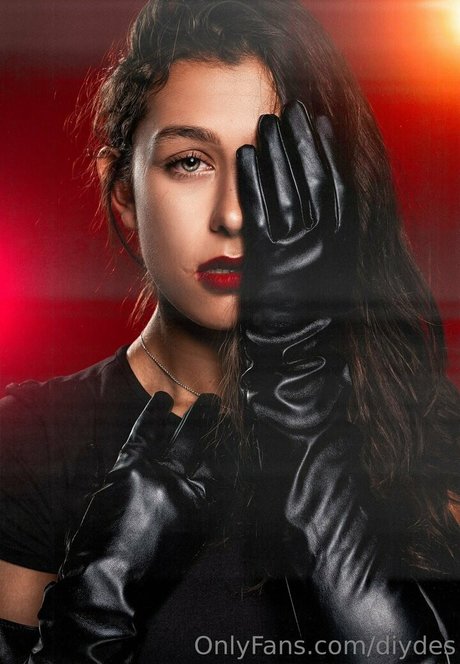 diydes perfect model image