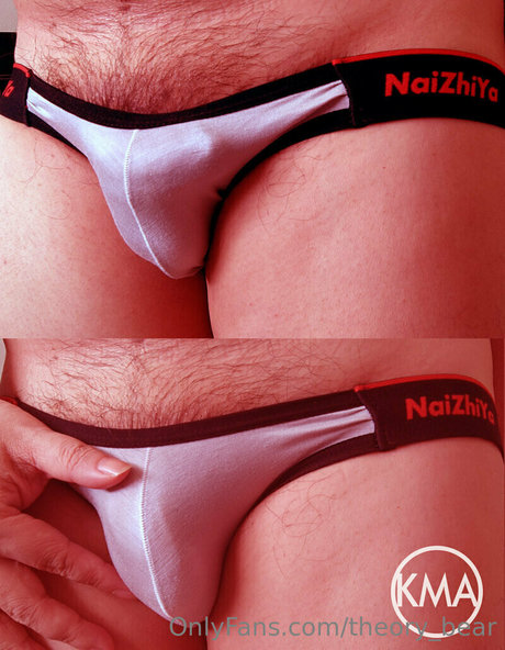 theory bear model perfect image