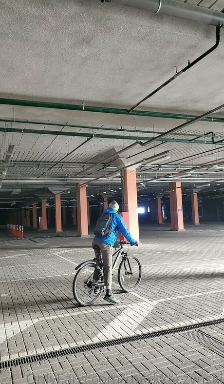 markkaczynski free star archive