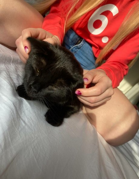 shemale cum in mouth onlyfans hot img