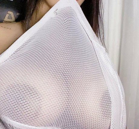 Carniello model perfect img