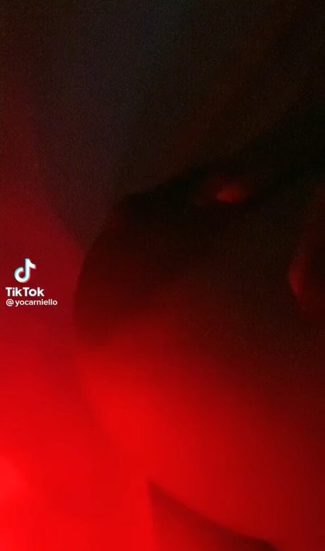 Carniello pornstar adult archive