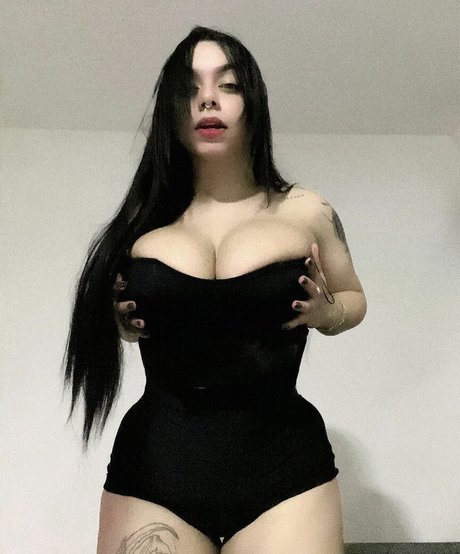 Carniello hd star gallery