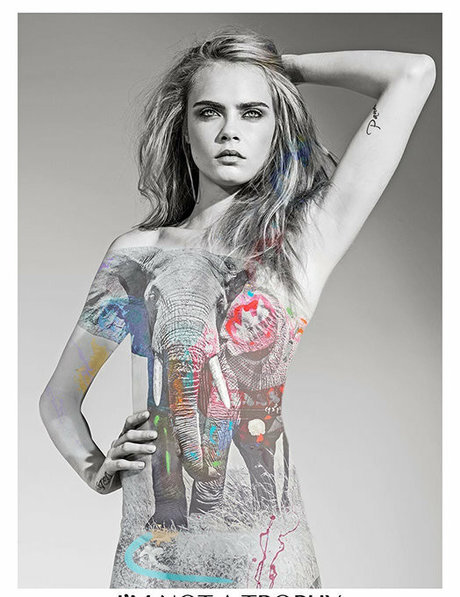 blonde muscle onlyfans hot photos