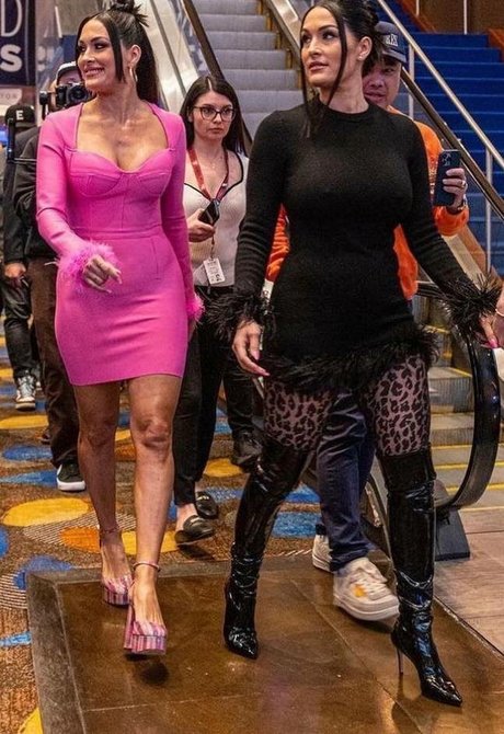 The Bella Twins_ pretty actress pic