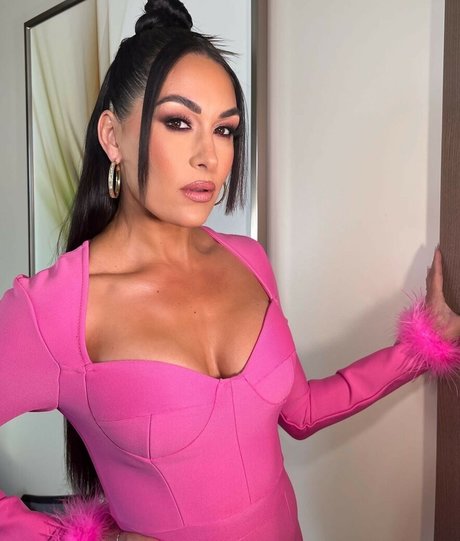 The Bella Twins_ pornographic model images