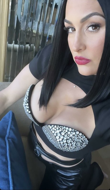 The Bella Twins_ nude pornstar gallery