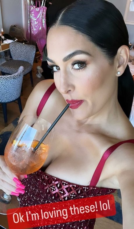 The Bella Twins_ pretty star images