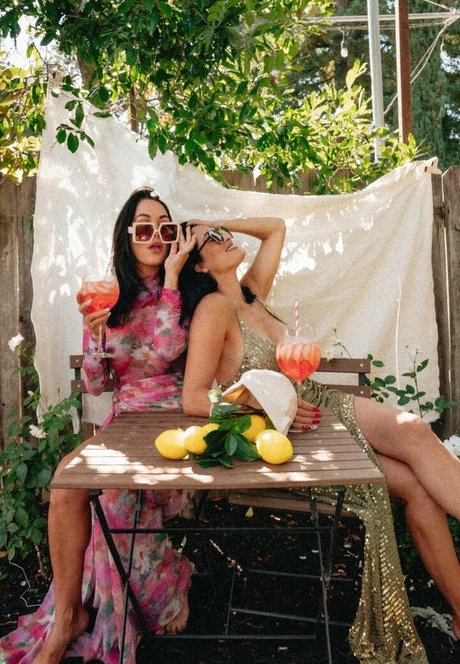 The Bella Twins_ adult star picture