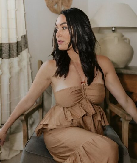 The Bella Twins_ pornstar erotic gallery