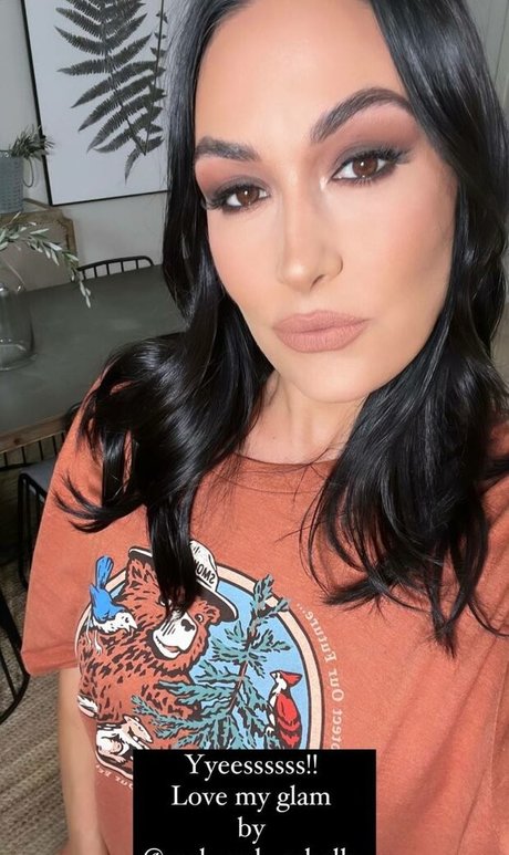 The Bella Twins_ model top img