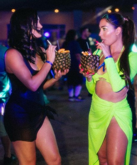 The Bella Twins_ erotic star archive