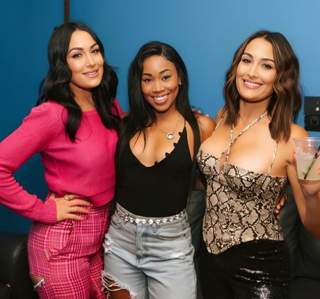 The Bella Twins_ adult model pic