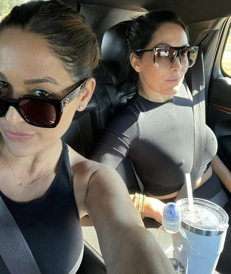 The Bella Twins_ star porn image
