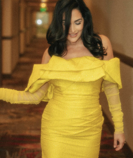 The Bella Twins_ high quality star archive