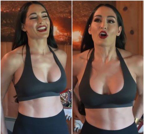 The Bella Twins_ pornstar perfect photo