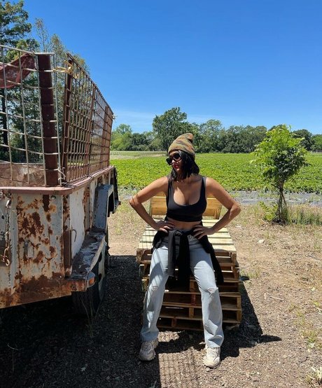 The Bella Twins_ hot star archive