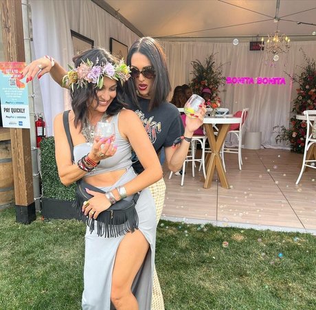 The Bella Twins_ xxx pornstar img