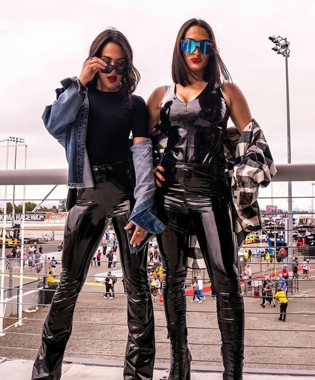 The Bella Twins_ model erotic pic