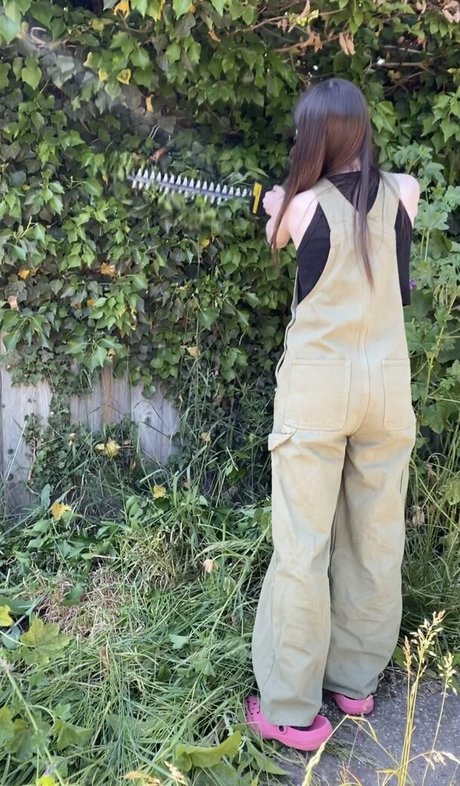 Frankie Lollia high quality actress galleries