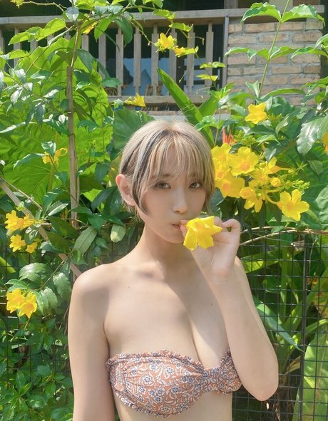 tsunko p free actress archive