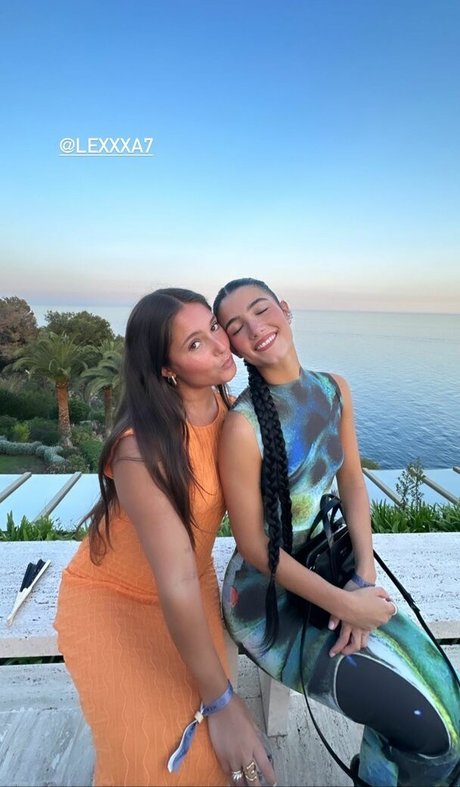 Charli D Amelio art pornstar archive